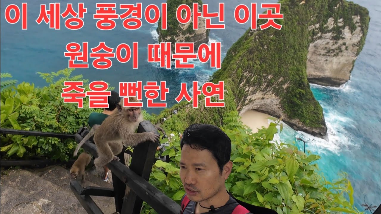 누사페니다 낭떠러지에서 죽을뻔한 사연(발리 한달살기 19)