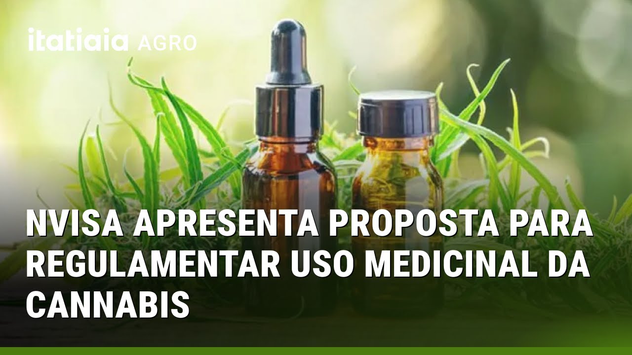 ANVISA APRESENTA PROPOSTA PARA REGULAMENTAR USO MEDICINAL DA CANNABIS