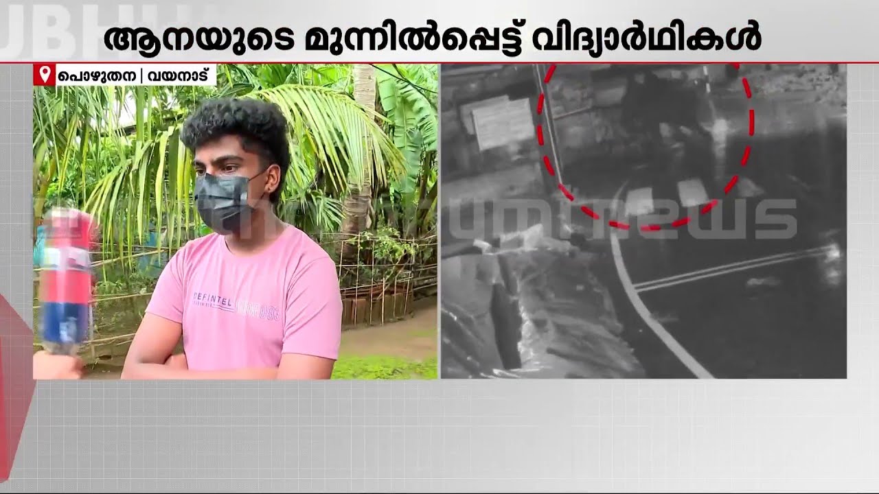 ''തുമ്പിക്കൈ കൊണ്ട് ആന എന്നെ ബ്ലോക്ക് ചെയ്തു... നല്ലോണം പേടിച്ചുപോയി'' | Wayanad