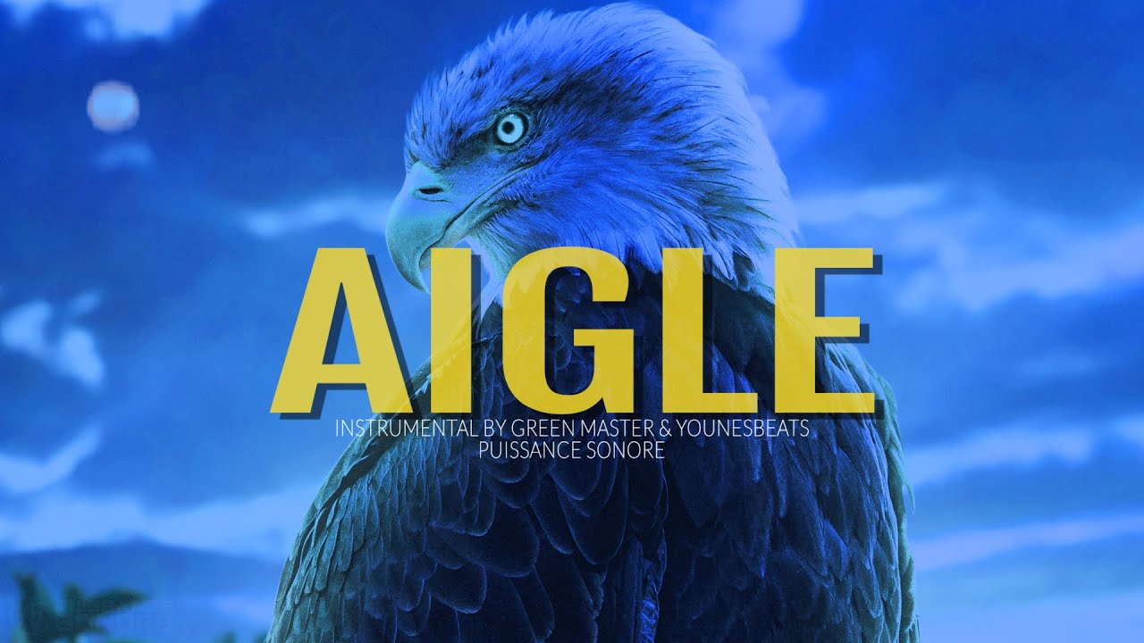 [Free] PNL x Melodic Cloud Type Beat "Aigle" Instru Trap Melodieuse Instrumental Chill 2023