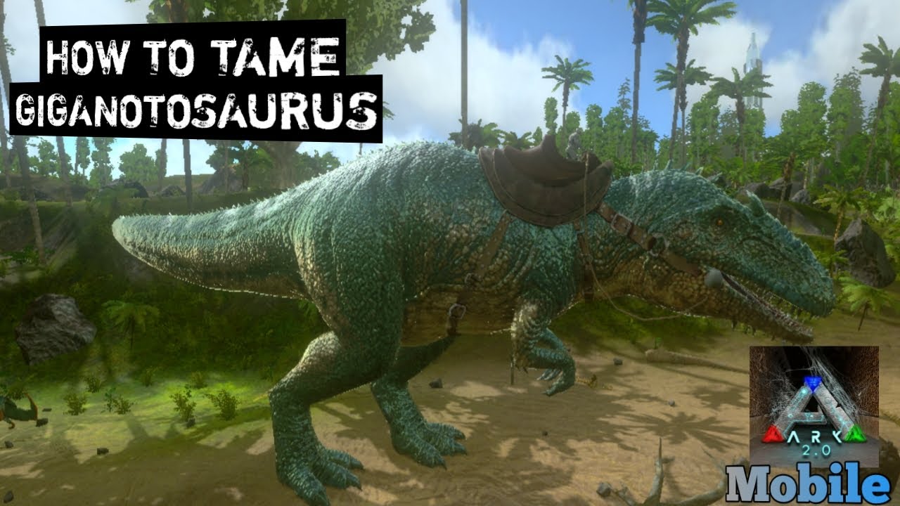 How To Tame Giganotosaurus ,Ark Mobile[S1:E30]...