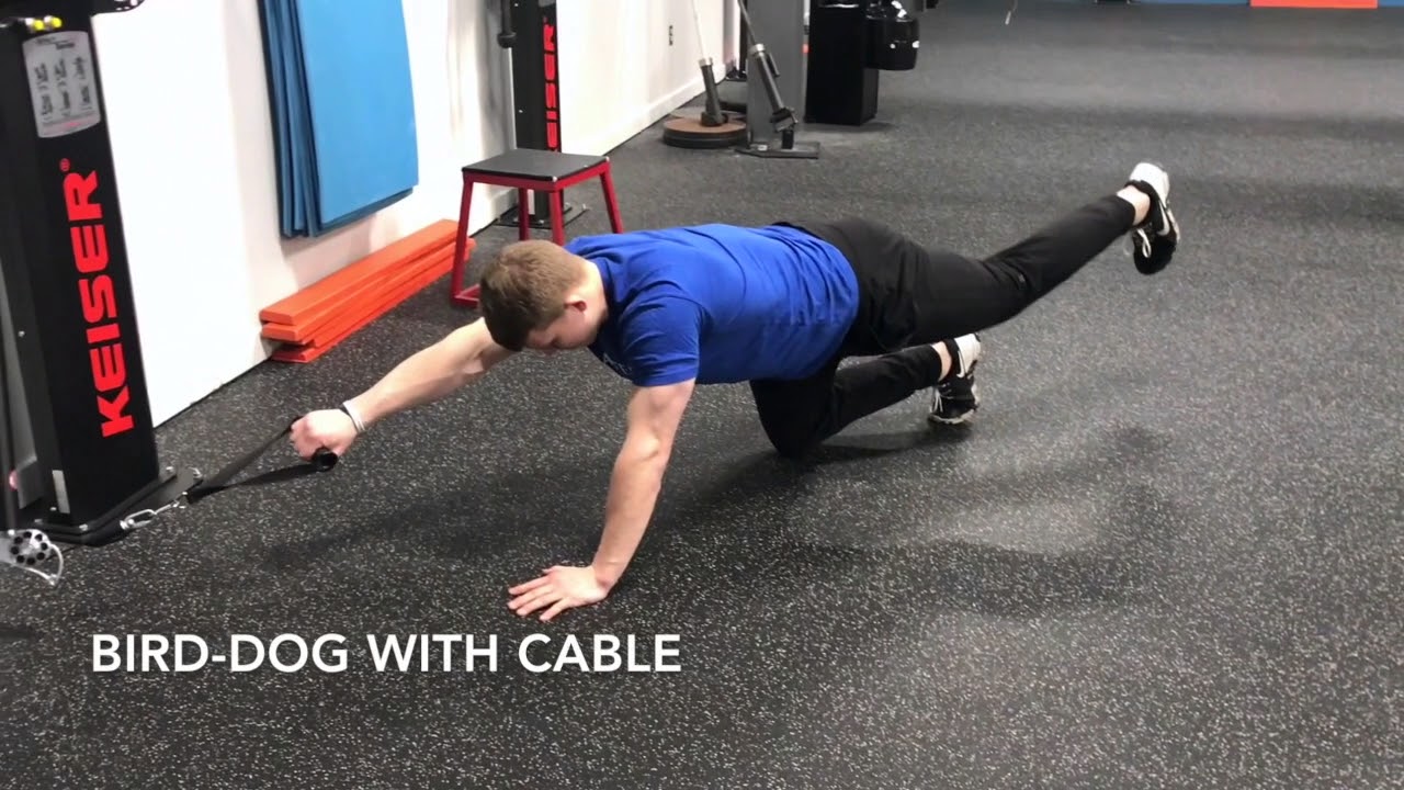 18 Anti-Rotation Exercises to Build and Bulletproof Your Core