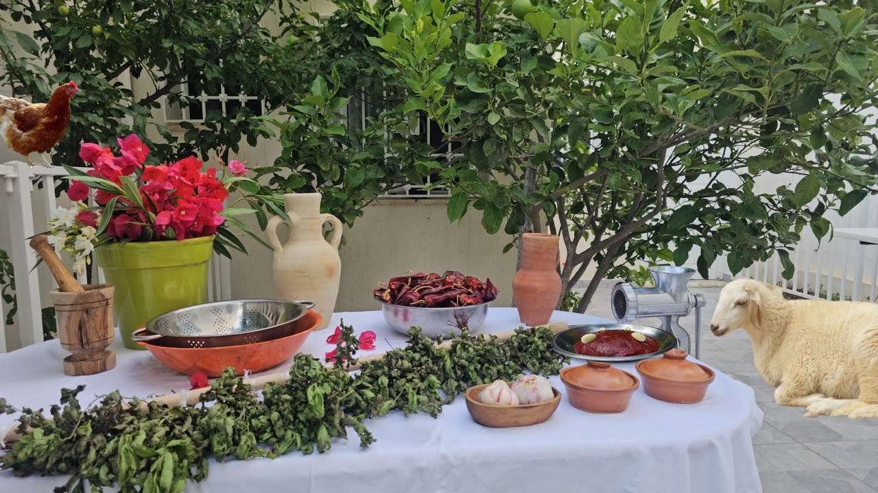 تحضيرات عيد الاضحى: الهريسة التونسية التقليدية ، قطف النعناع من الحديقة و تجفيفه