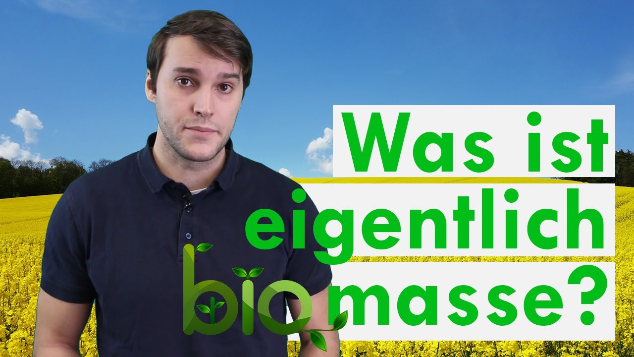Ist Biomasse die beste &Ouml;ko-Energieform? - Klimawissen kurz&b&uuml;ndig