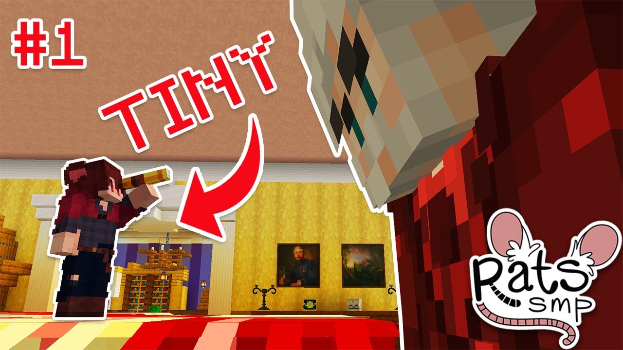 I Turned Into A RAT In Minecraft? [Rats SMP]