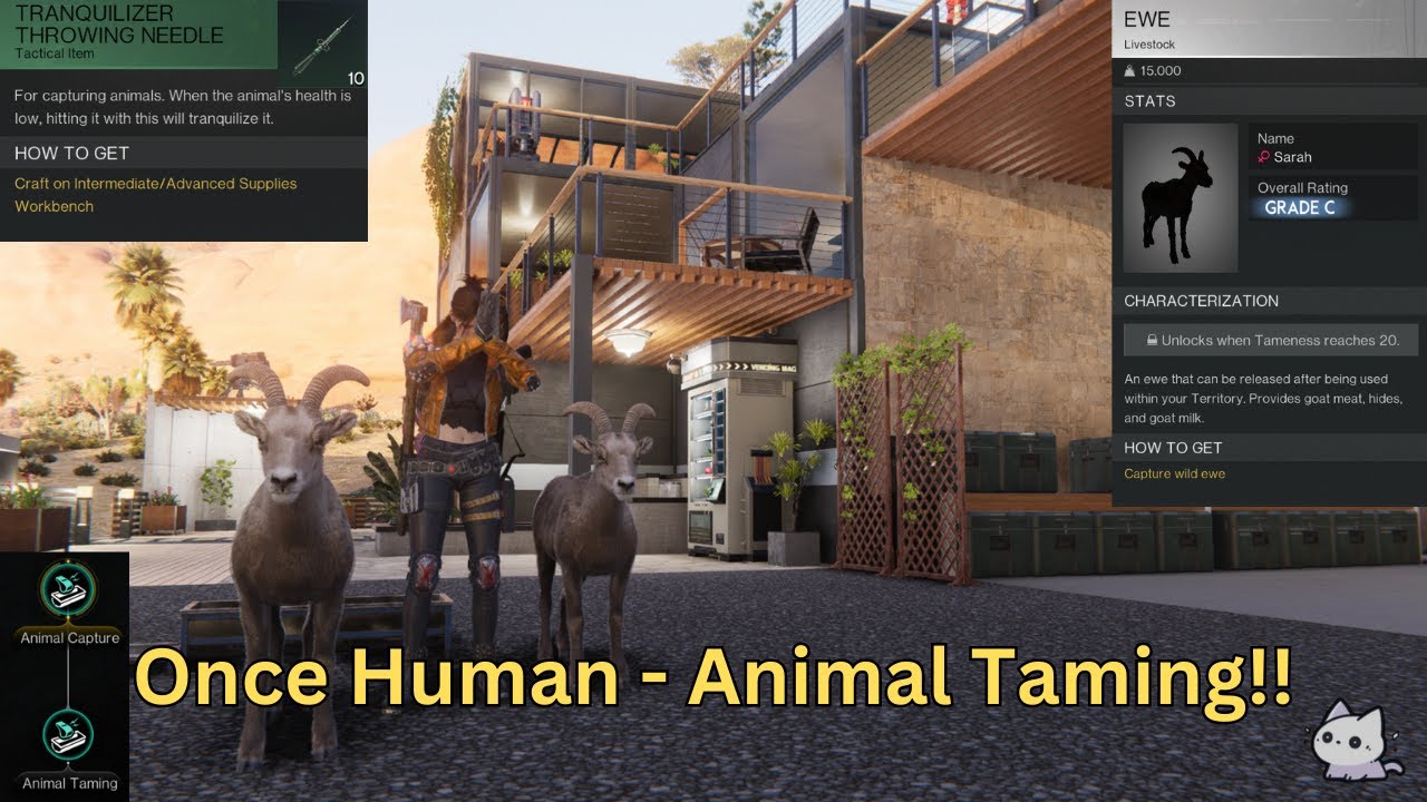 Once Human - How to Tame Animals!!