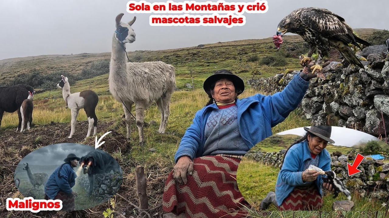 &iexcl;Sola en la Monta&ntilde;a!  TIA JUSTINA cri&oacute; mascotas salvajes y ya no tiene miedo a los Malignos