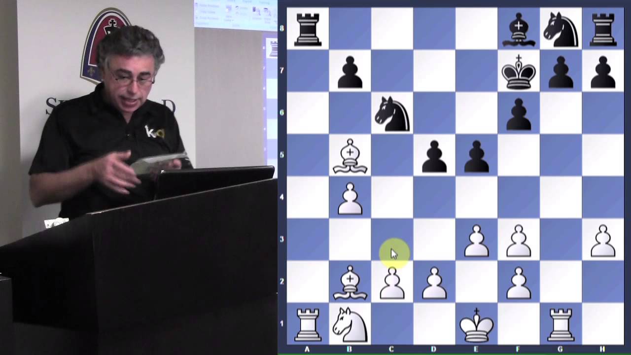 Analyze This! | The Orangutan - GM Yasser Seirawan - 2014.03.11