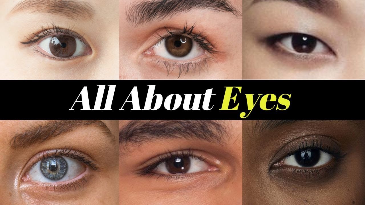What's my Eye Shape? Here's what matters MORE than the 