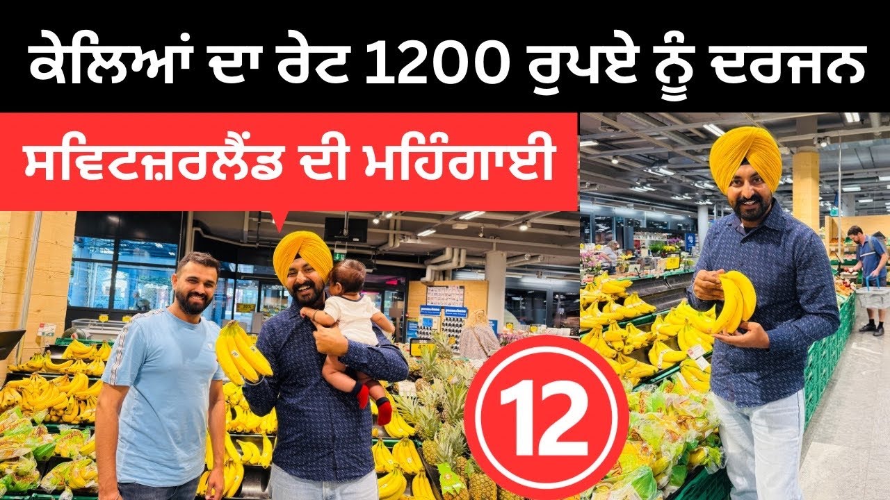 ਸਵਿਟਜ਼ਰਲੈਂਡ ਦੀ ਚਿੱਬ ਕੱਢ ਮਹਿੰਗਾਈ Grocery in Switzerland | Punjabi Travel Couple | Ripan Khushi