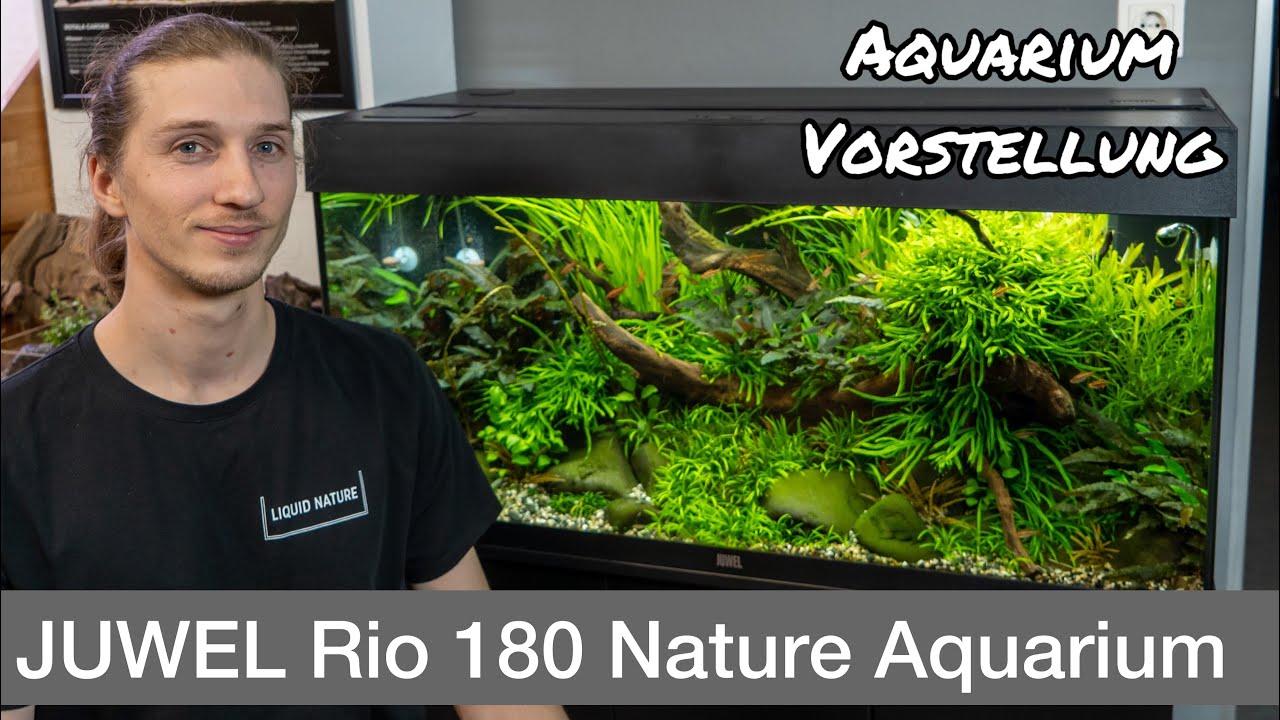 Juwel Rio 180L Aquascape  Aquarium Vorstellung | Liquid Nature
