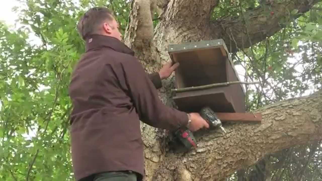 Nest Box Challenge