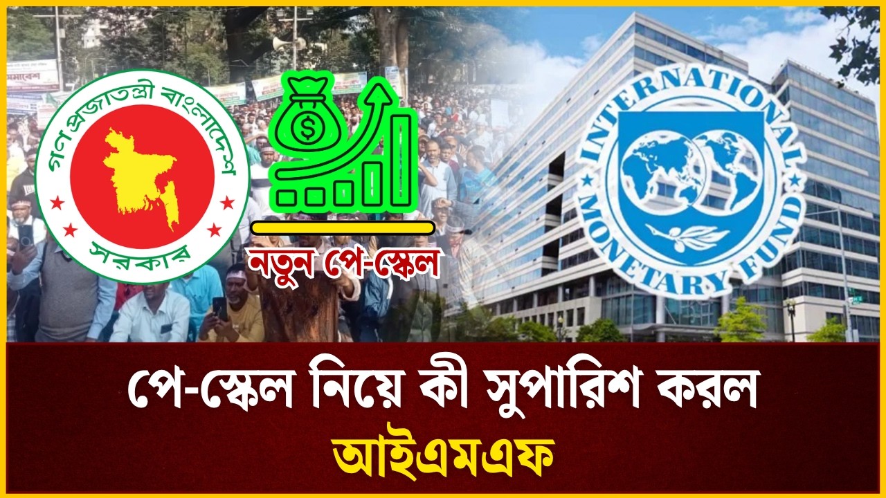 পে-স্কেল নিয়ে কী সুপারিশ করল আইএমএফ | Pay Scale | IMF | The Daily Campus