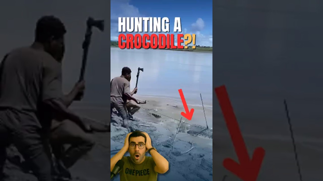 They Hunted a Crocodile With Spears! You Won&rsquo;t Believe What Happens Next