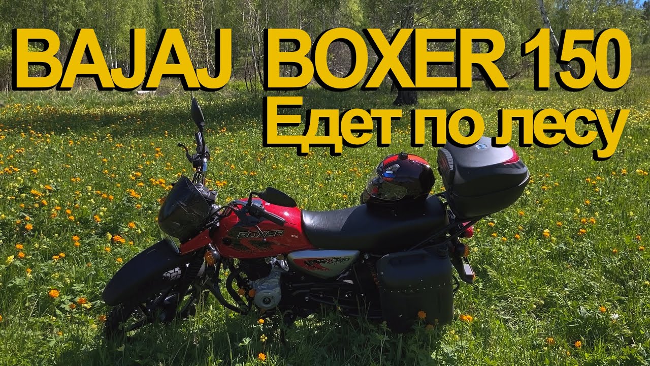 Bajaj Boxer 150. Катаюсь по лесным дорожкам. Делюсь впечатлениями после Dominar 400.