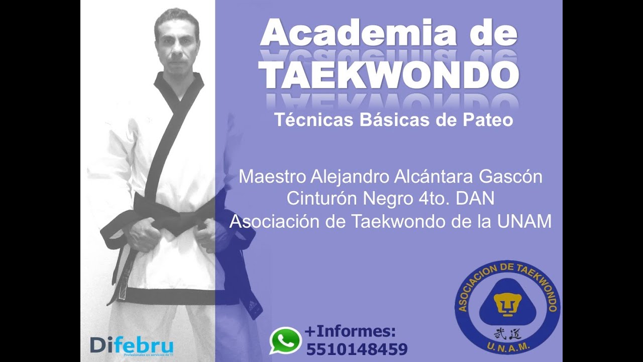 Técnicas Básicas de Pateo
