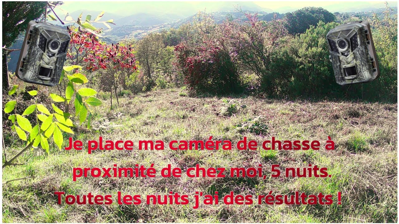 Je place ma caméra de chasse à proximité de chez moi, 5 nuits.Toutes les nuits j'ai des résultats !