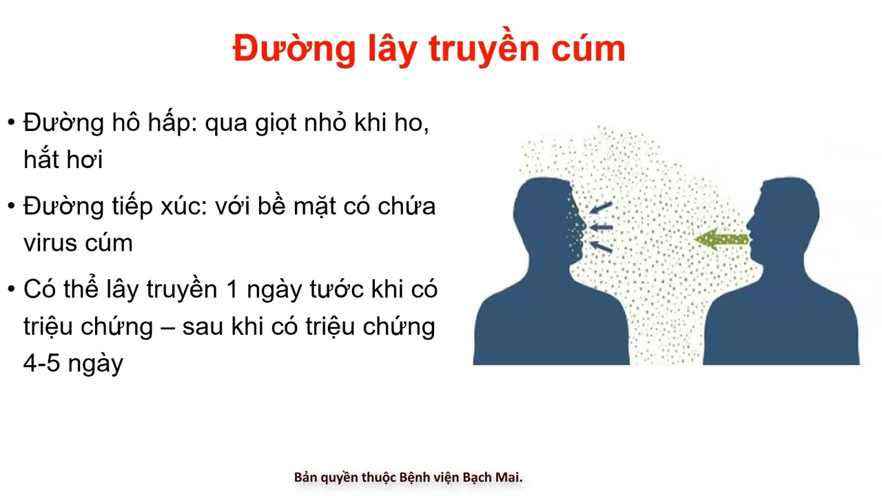 6- C&uacute;m m&ugrave;a từ A đến Z: Tất cả những g&igrave; bạn cần biết