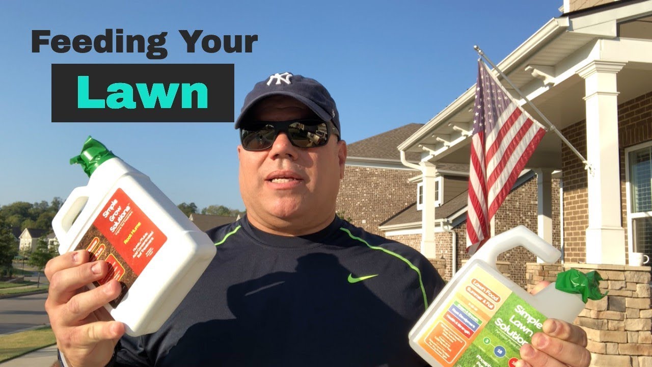 Lawn Feeding:  Humic and 3-18-18