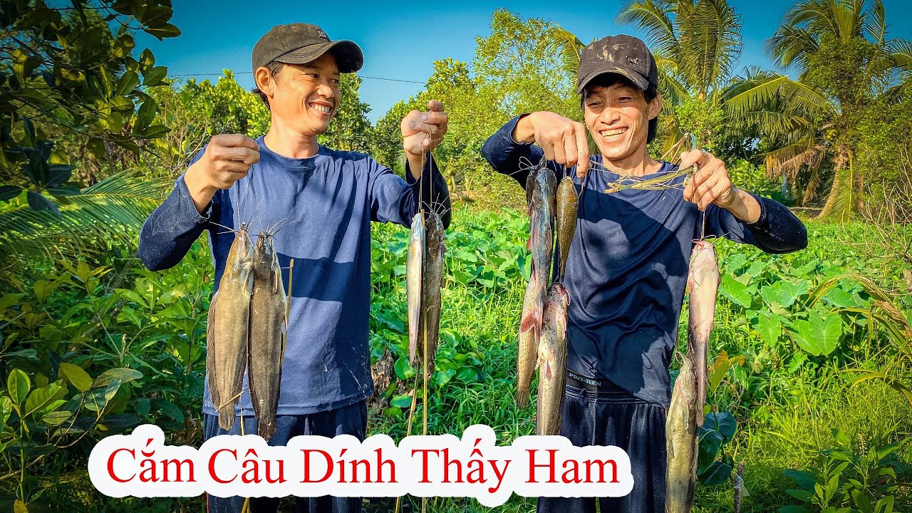 Cá Trê trắng nướng chao 