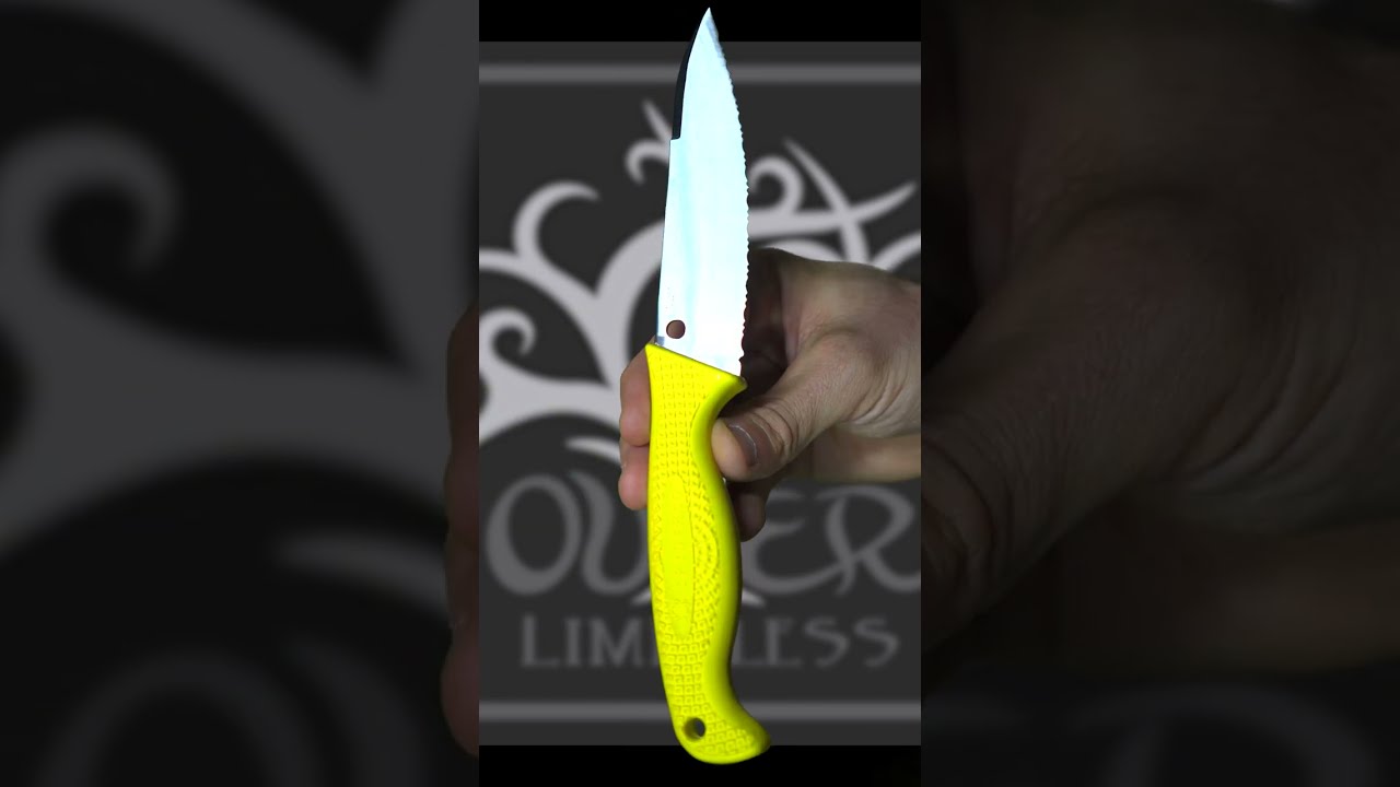 CORROSION PROOF STEEL? #spyderco #aqua #salt #serrated #edge #fixedblade #knife #edc #diving #shorts