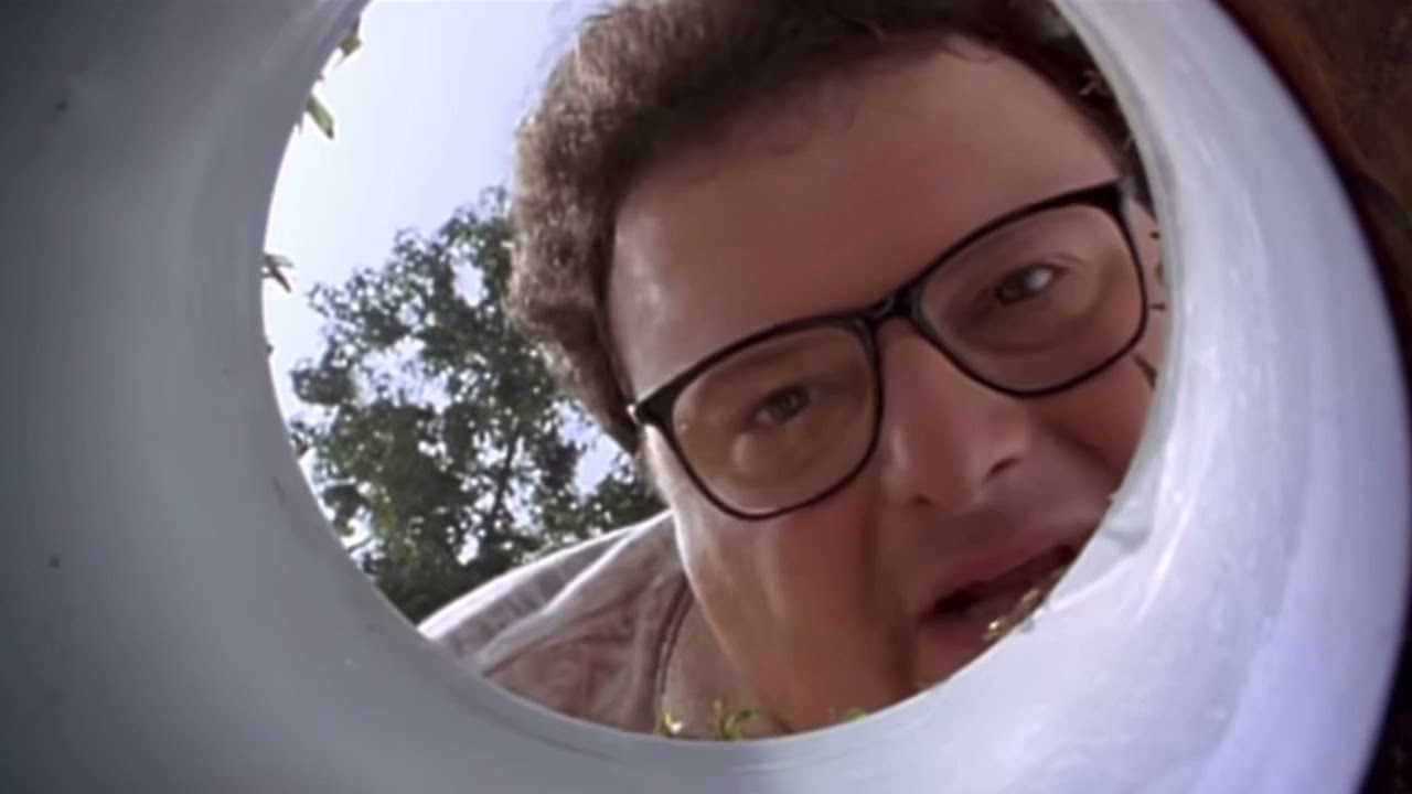 pov: ur Michael Jordan in space jam and u just fell in the golf hole