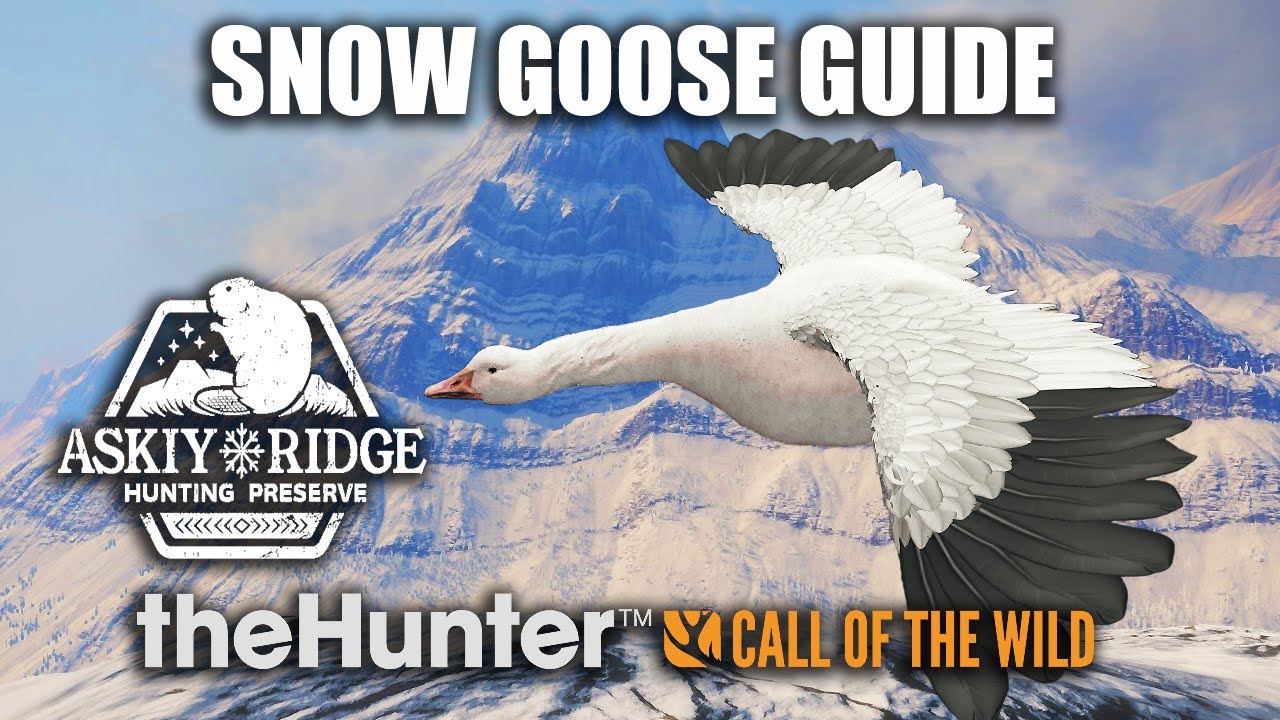 Snow Goose Guide At Askiy Ridge - theHunter Call Of The Wild (Early Access)