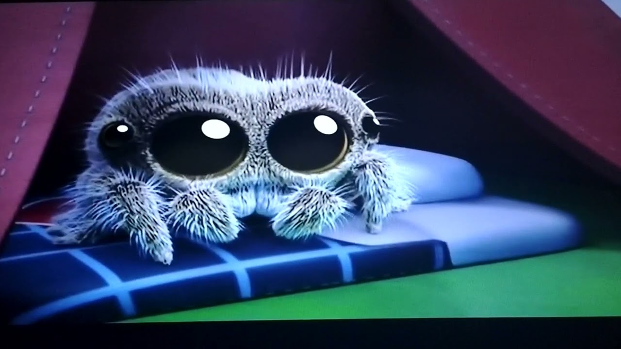 LUCAS THE SPIDER - Lonesome lucas S01E07