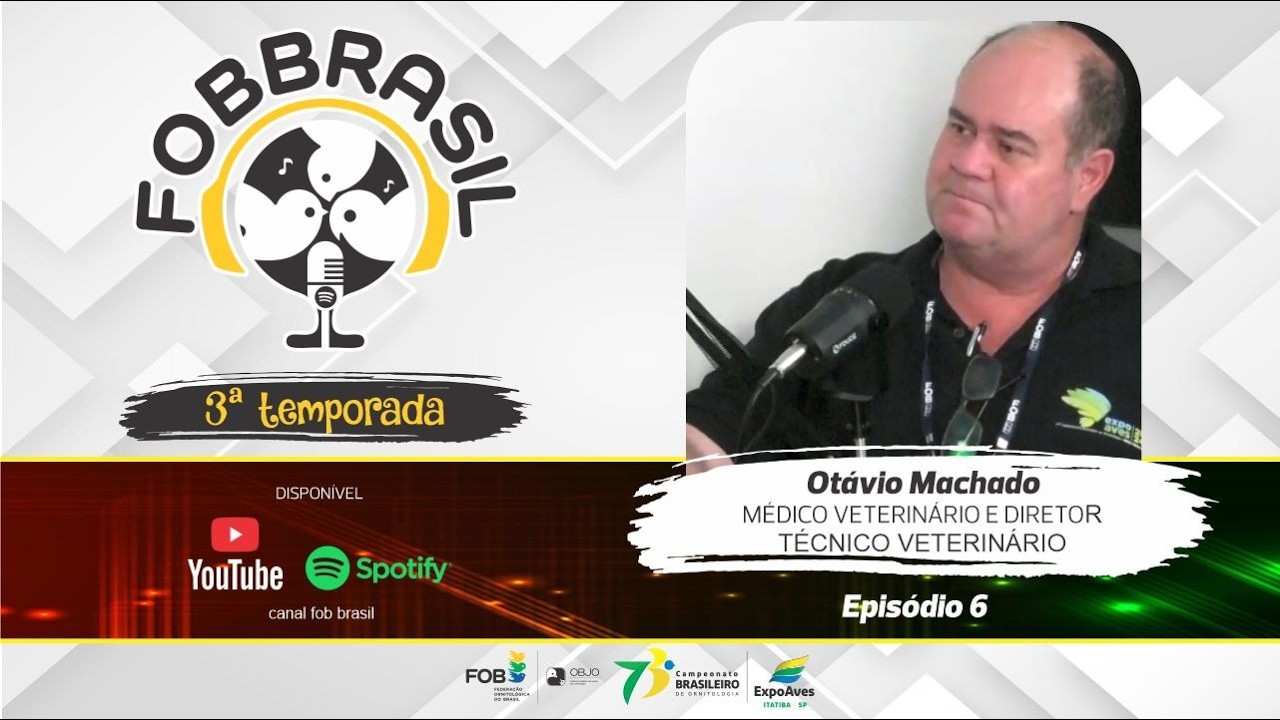 Alho ou anis estrelado funcionam na cria&ccedil;&atilde;o de can&aacute;rios? - Descubra no PODCAST FOB Brasil