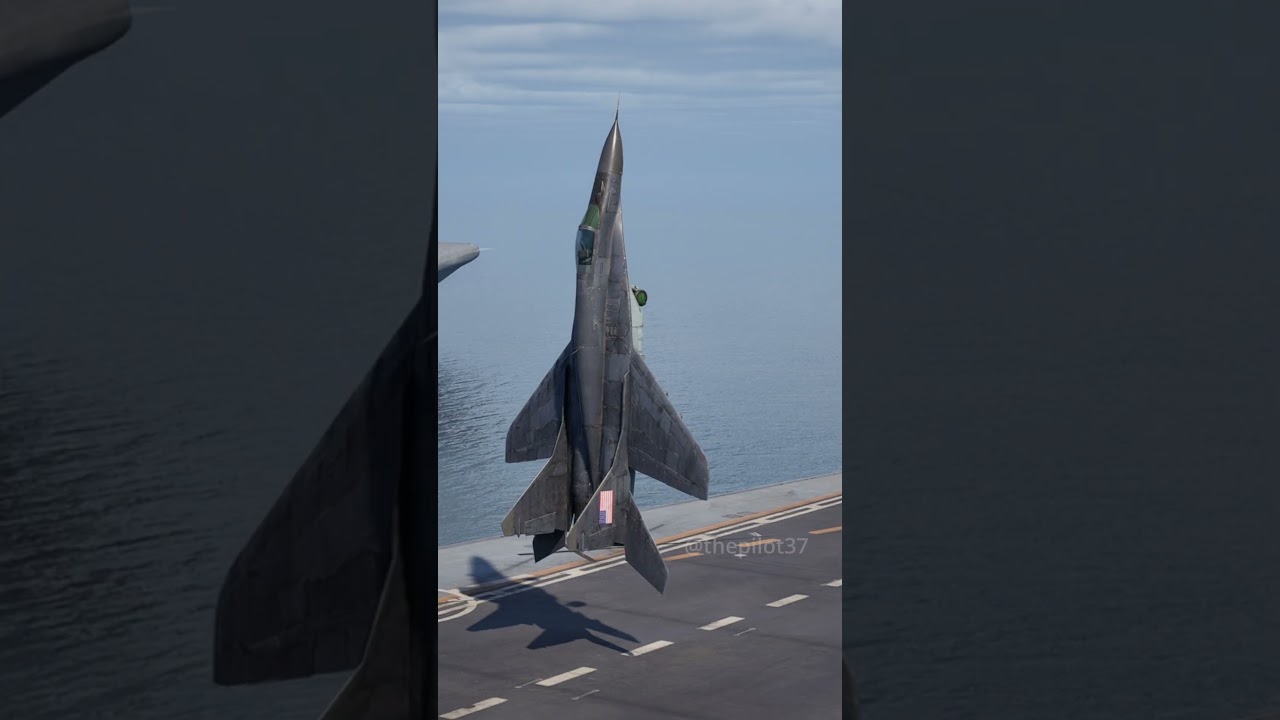 Captured MiG-29 in the Hands of a Professional Pilot