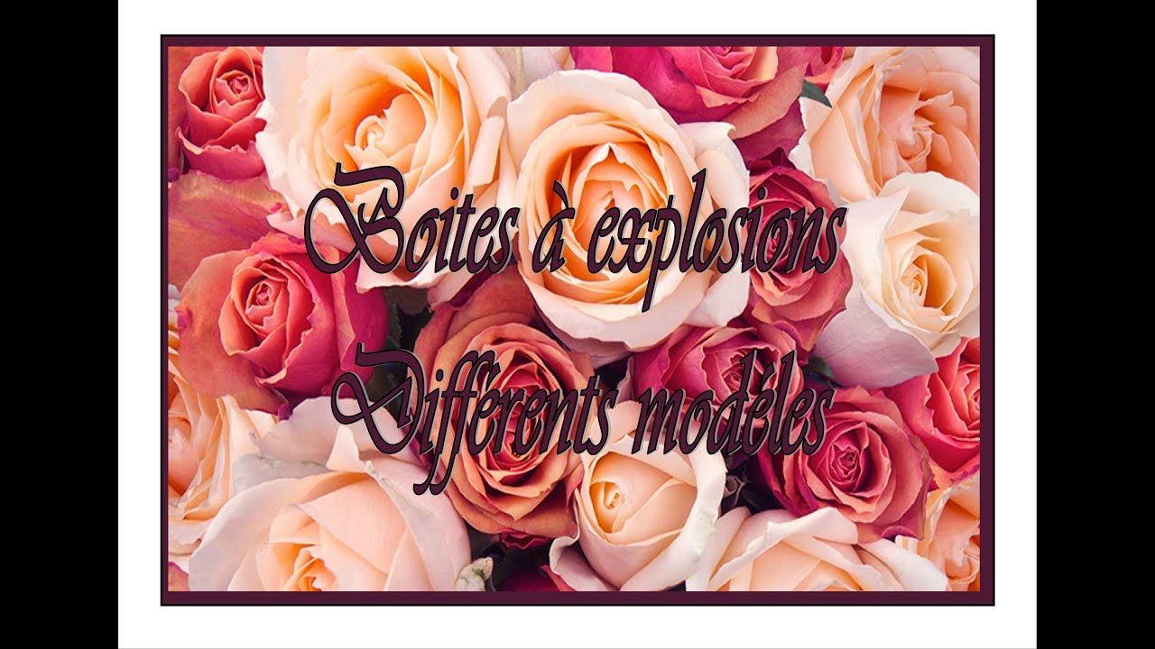 Différents modèles boites à explosion