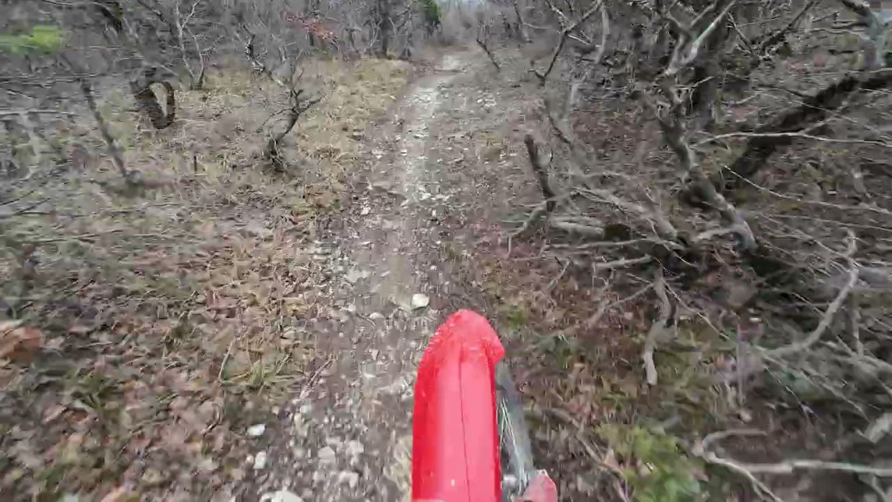 видео урок по езде в густом лесу 