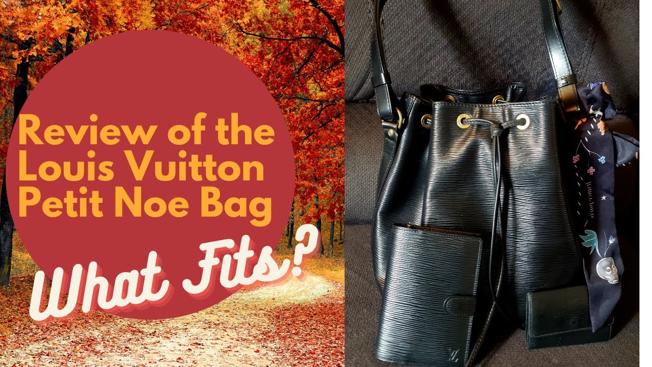 Review of the Louis Vuitton Petit Noe Bag  | What Fits? Compared to Dooney's Medium Drawstring