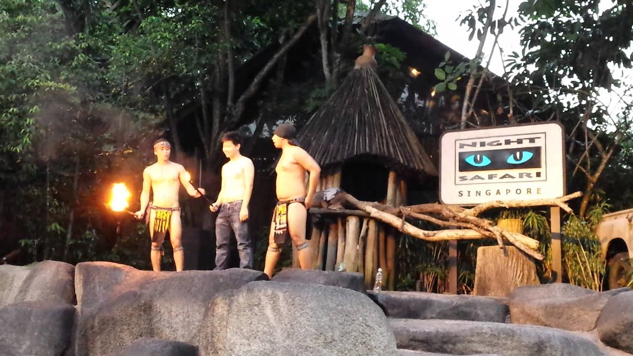 Night Safari Thumbuakar Performance