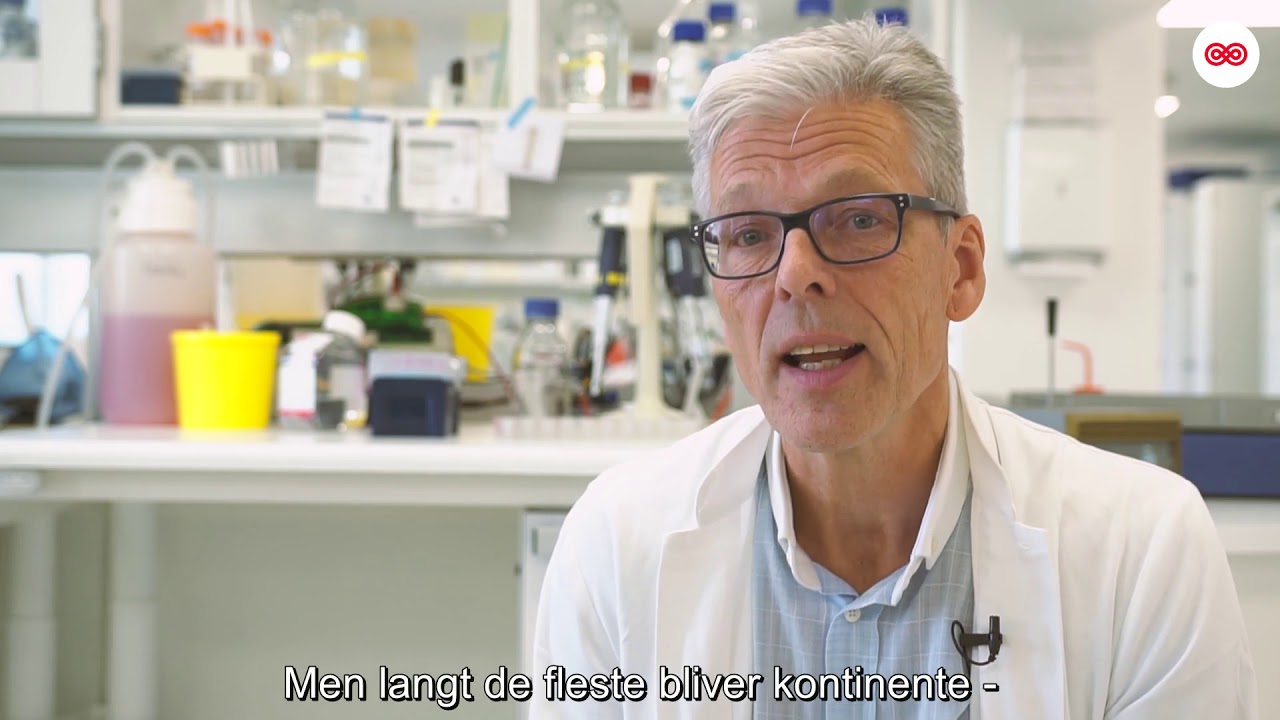 Prostatakræft: Symptomer, undersøgelser og behandling