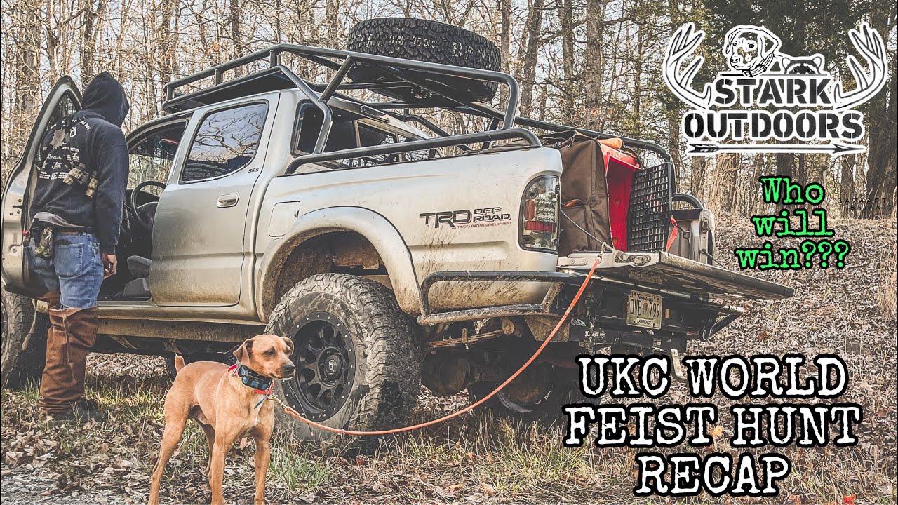 SQUIRREL HUNTING : UKC WORLD FEIST HUNT RECAP. The Road to The final Cast.