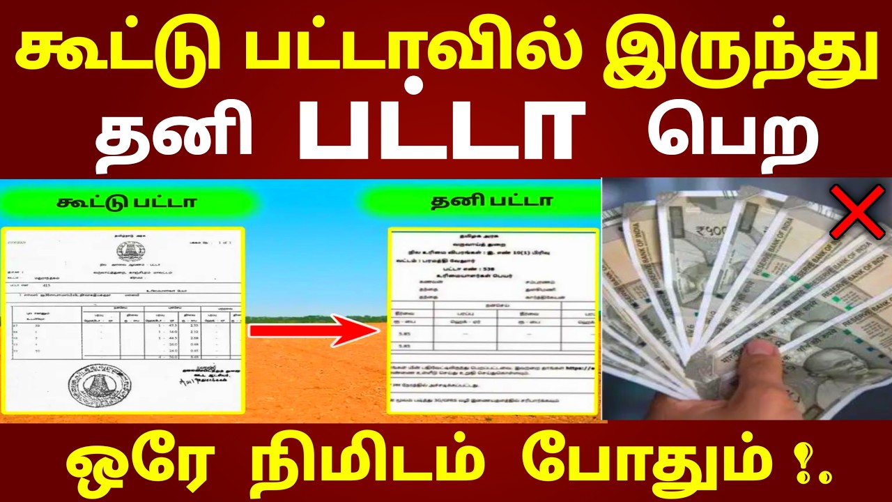 ஒரே நிமிடத்தில் கூட்டு பட்டாவில் இருந்து தனி பட்டா பெற இதை செய்தால் போதும் | nilam patta patharam