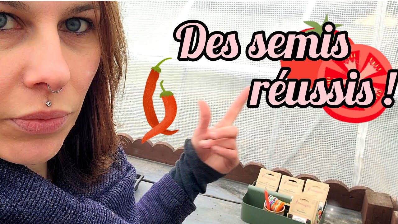 Tuto semis : je vous dis tout !