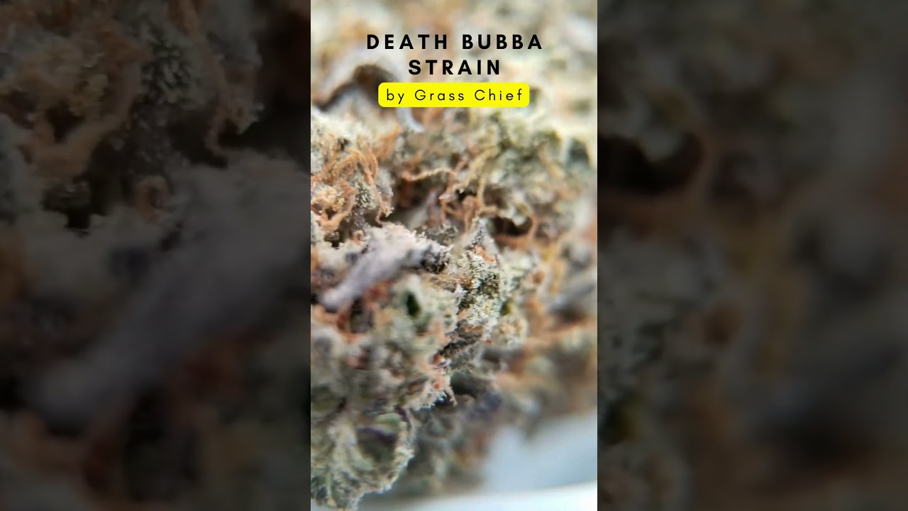 Beautiful Nugs of Death Bubba Strain by Grass Chief