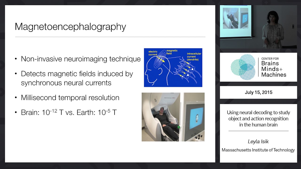 Using neural decoding to study object and action recognition in the human brain