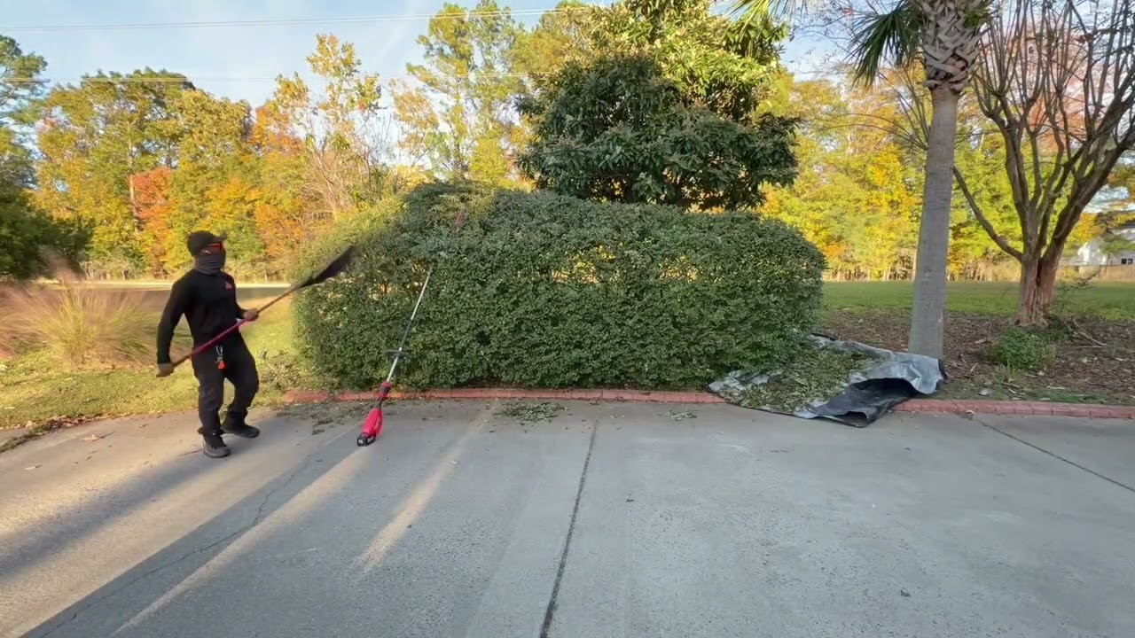 Hedge trimming