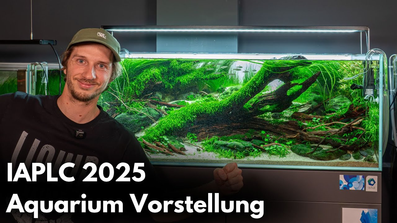 Philips IAPLC Aquarium 2025 | Liquid Nature Aquarium Vorstellung