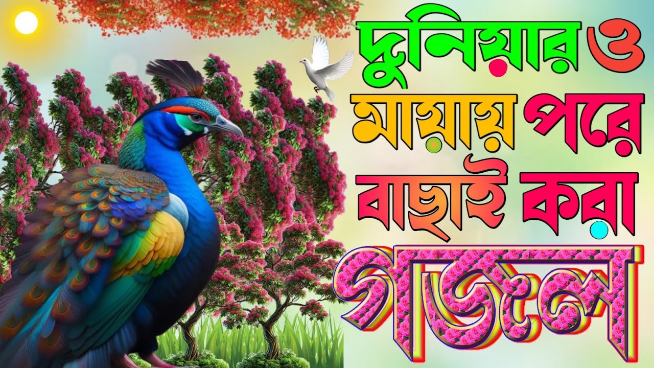 Romzaner top gojol রমজানের রোজার উপলক্ষে সুন্দর গজল|Doniyaro mayai pore|Islamic song| rozar gojol 