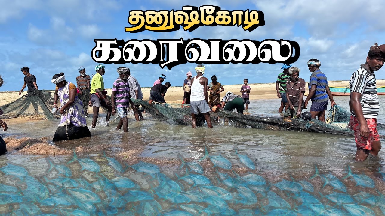💥 இந்திய கோடி முனையில் இயந்திரம் இல்லாமல் மனிதர்களால் இழுக்கப்படும் கரைவலை(மீன்பிடி) | #தனுஷ்கோடி