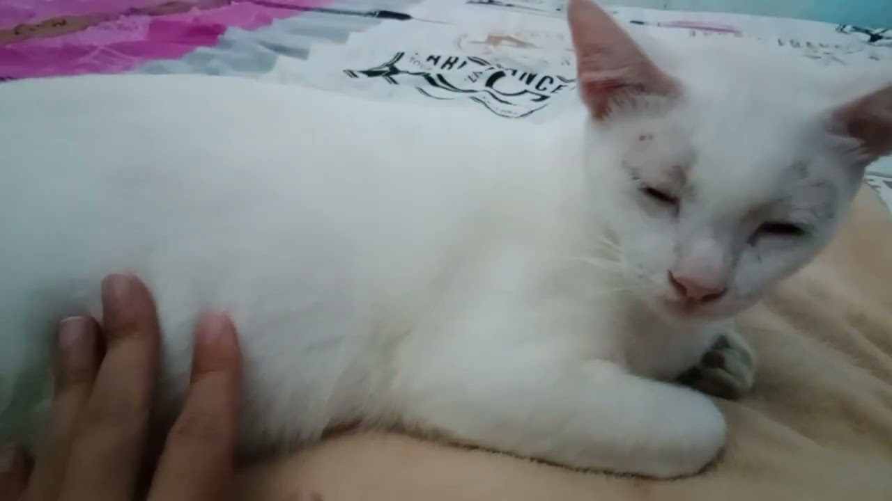 Bumil lagi kelelahan 