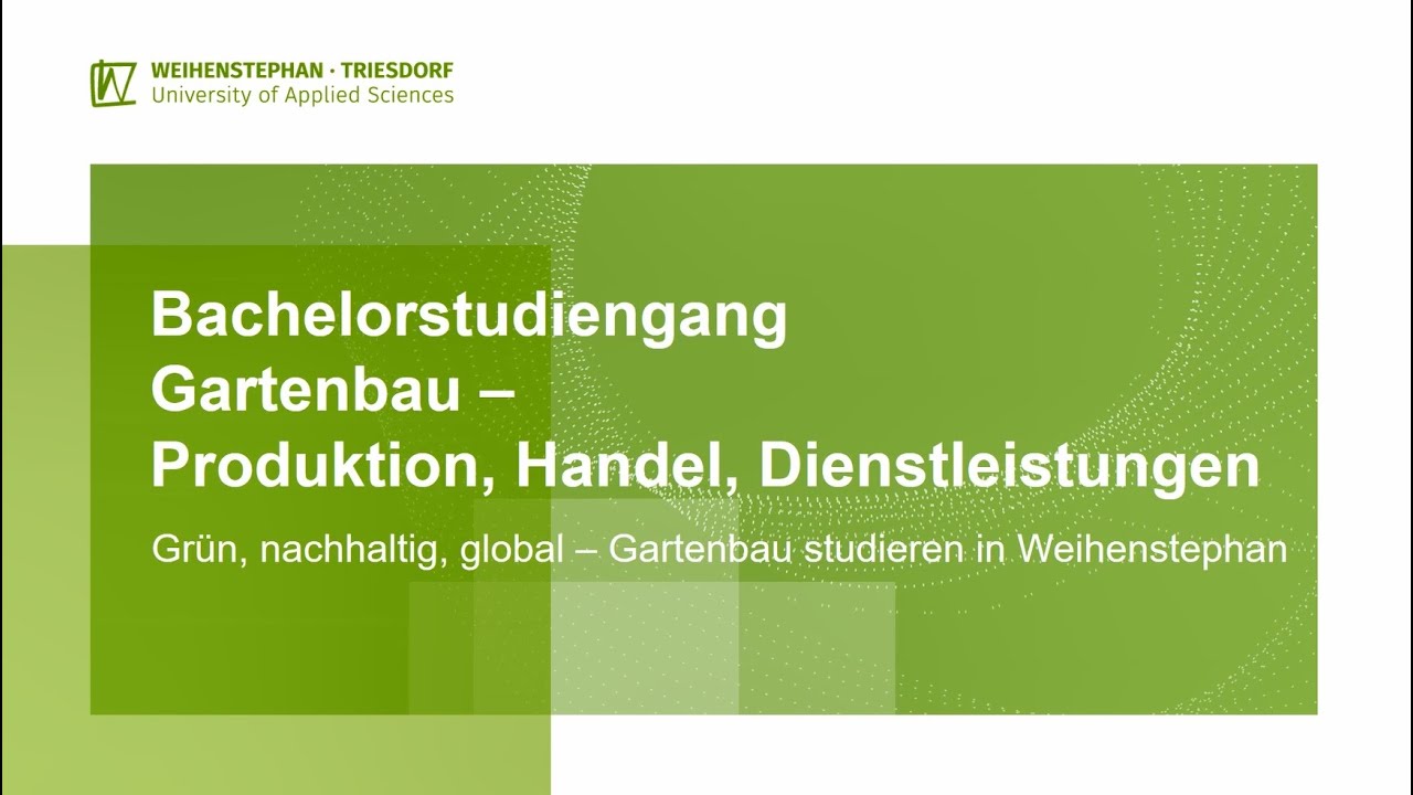 Studieninfo – Bachelor 