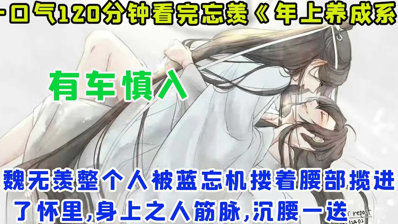 一口气120分钟看完忘羡《年上养成系》魏无羡整个人被蓝忘机搂着腰部揽进了怀里