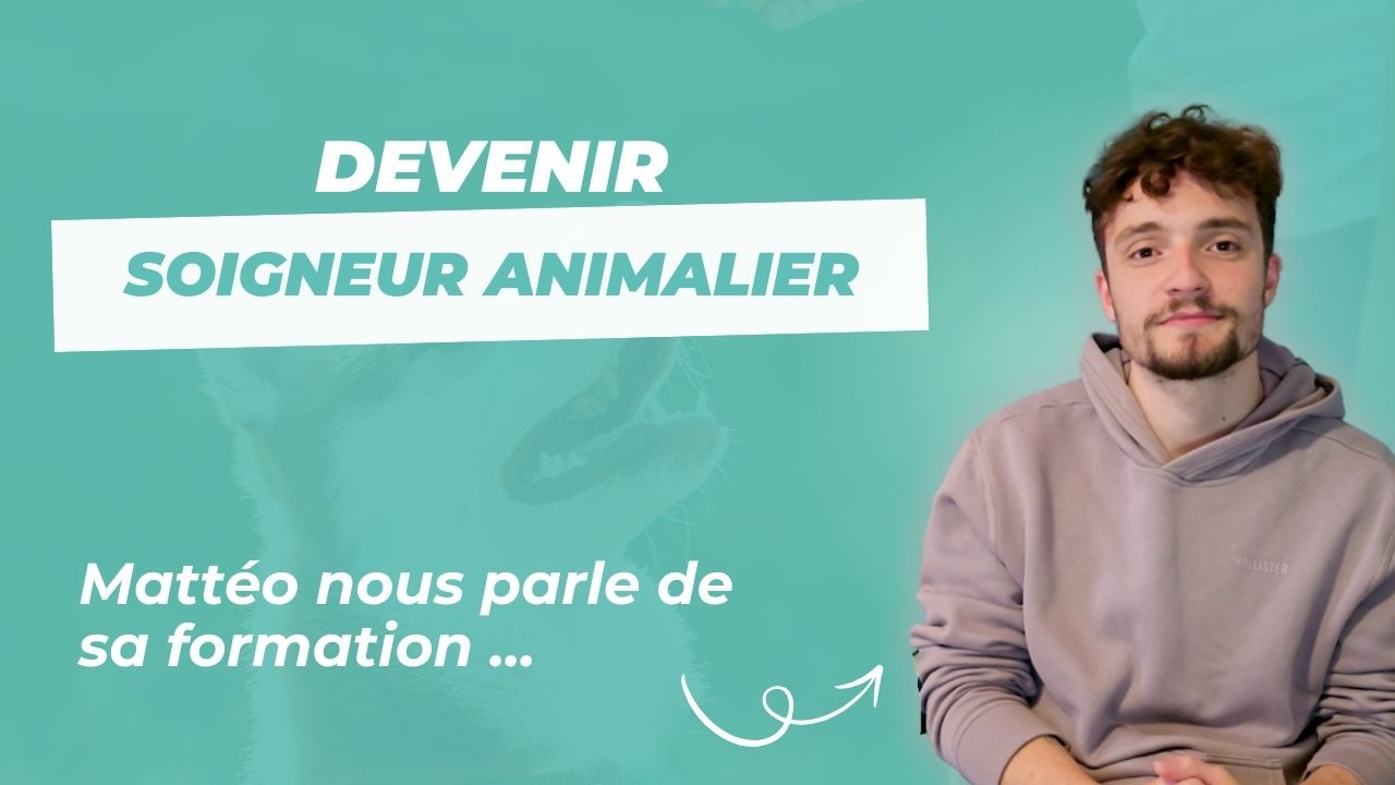Mattéo nous parle de son stage à la Citadelle de Besançon !