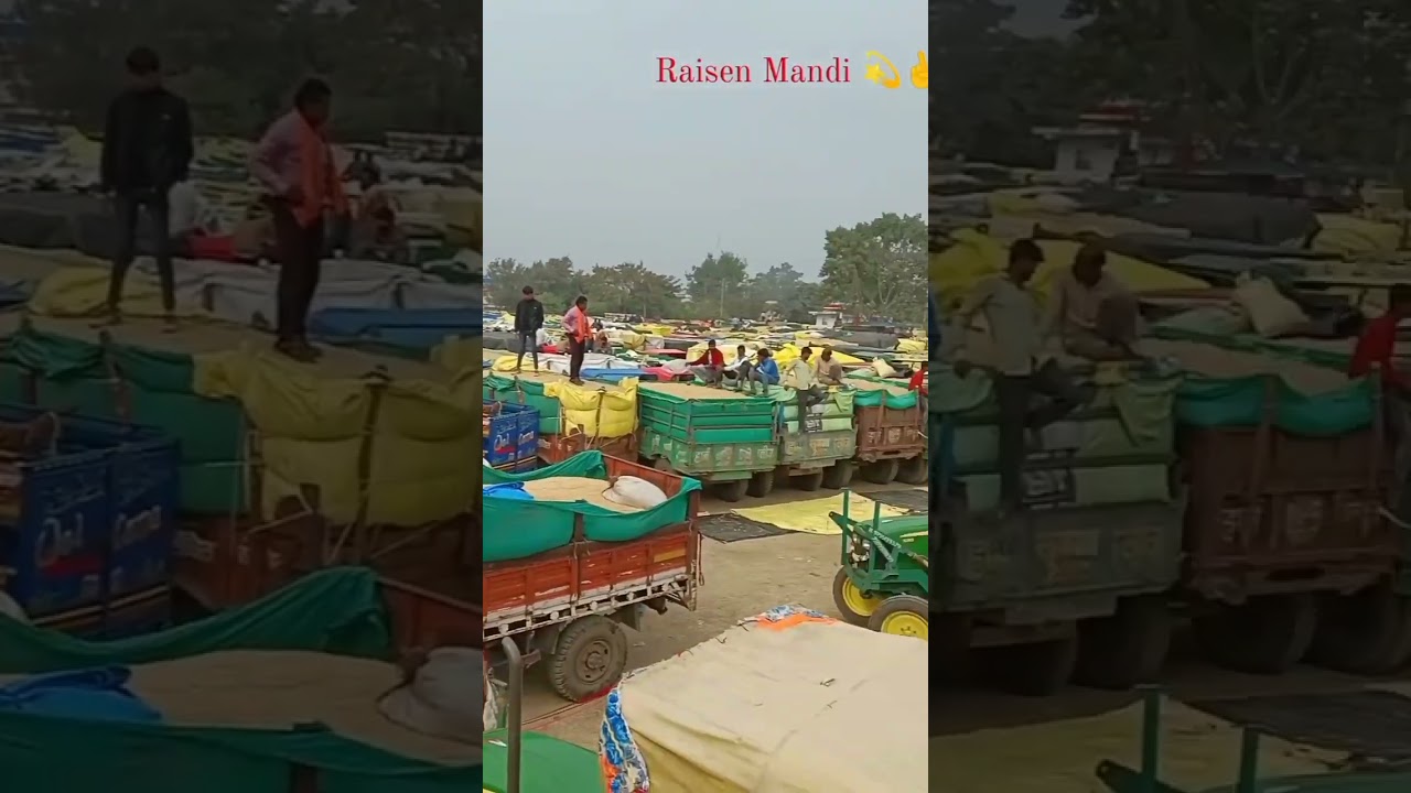 raisen Mandi#khetibadi#