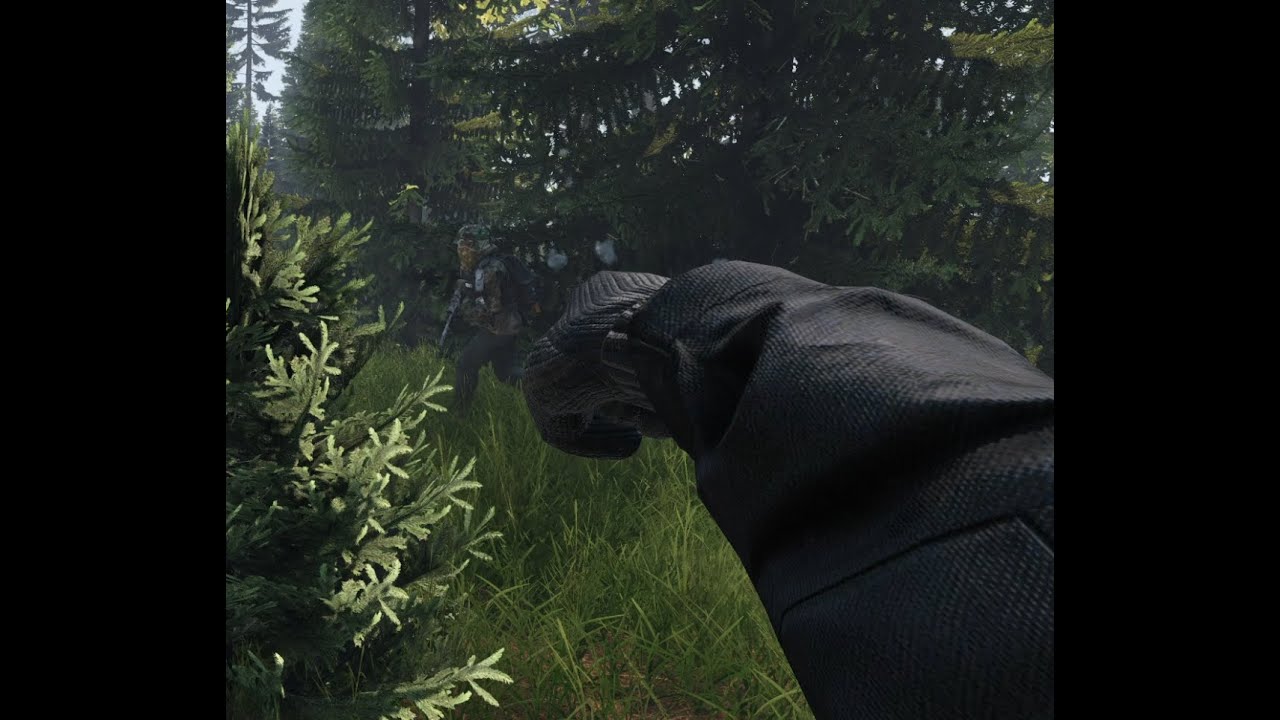 DayZ - the day that Dayz beat me - A struggle to live.